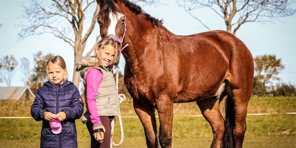 Twee kinderen met een paard