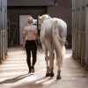 Coach Caroline met paard Stijn