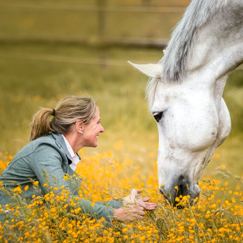 Coach Caroline met paard Stijn